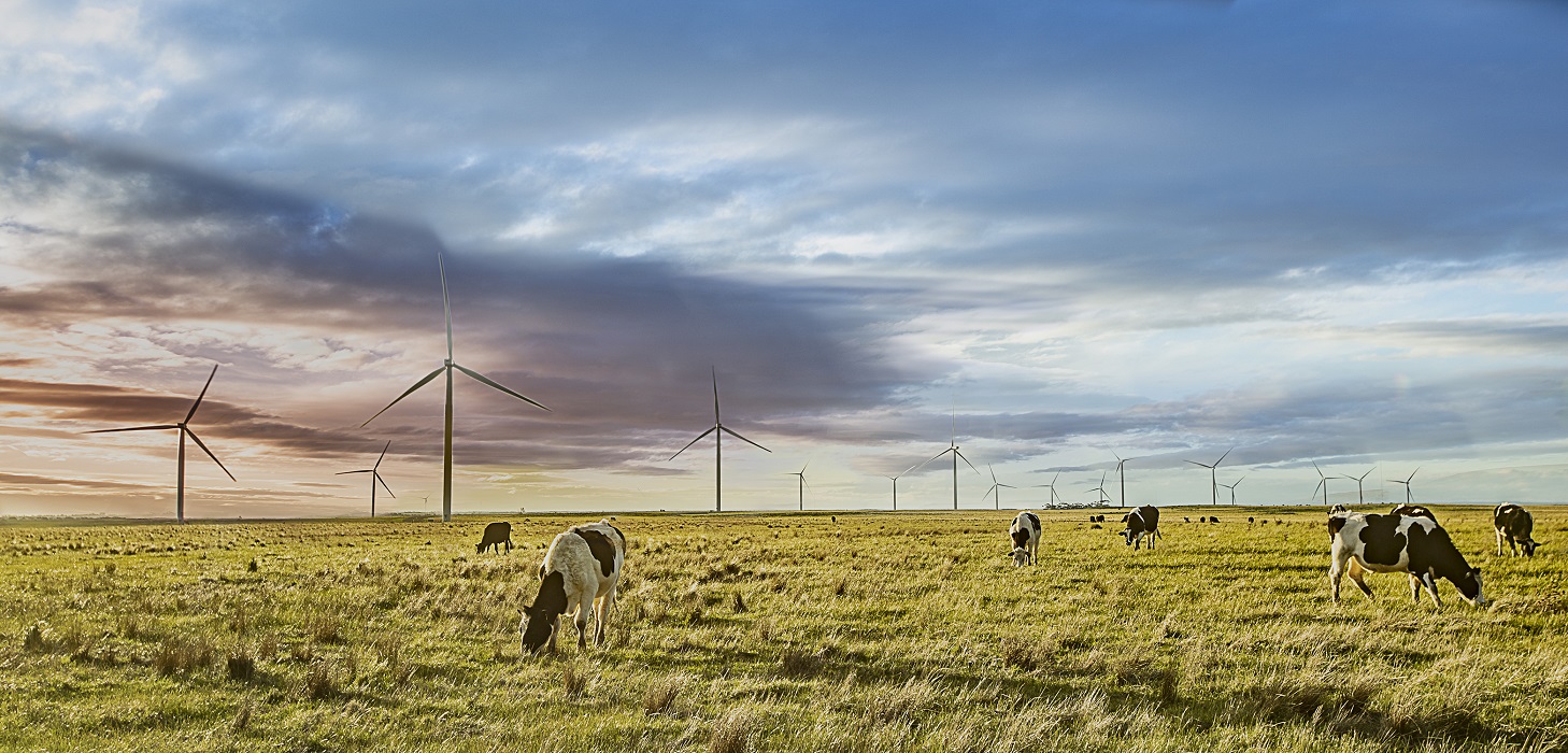 Es ACCIONA la compañía eléctrica más verde del mundo